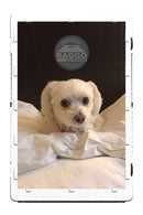 Custom Baggo Featuring Your Design Bean Bag Toss Game by BAGGO Baggo.com