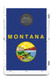 Montana State Flag Bean Bag Toss Game by BAGGO